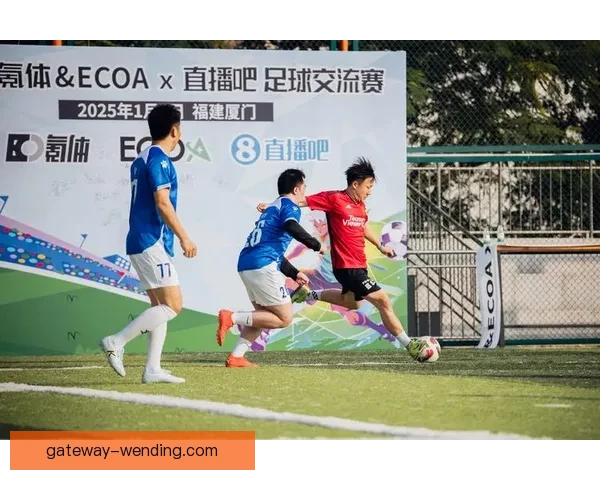 北京足球联赛高清直播平台全面赛事资讯与精彩回放推荐